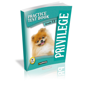 YDT Privilege 12 Practice Test Book