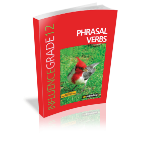 YDT Influence 12 Phrasal Verbs