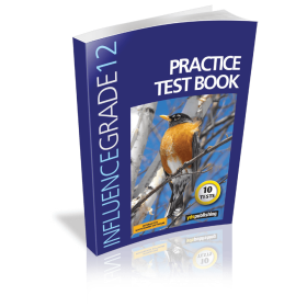 YDT Influence 12 Practice Test Book