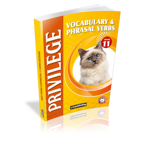 YDT Privilege 11 Vocabulary and Phrasal Verbs