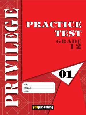 YDT Privilege 12 Practice Test - 01