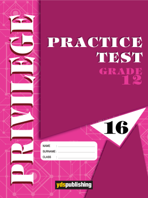 YDT Privilege 12 Practice Test - 16