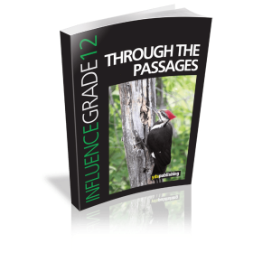 Influence 12 Through The Passages