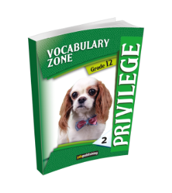 Privilege 12 Vocabulary Zone 2