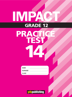 YDT Impact 12 Practice Test - 14