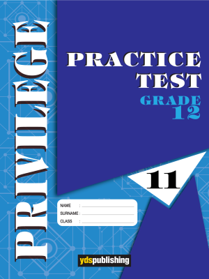 YDT Privilege 12 Practice Test - 11