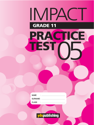YDT Impact 11 Practice Test - 05
