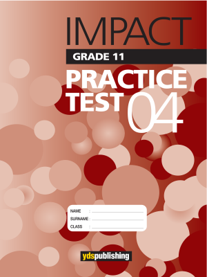 YDT Impact 11 Practice Test - 04