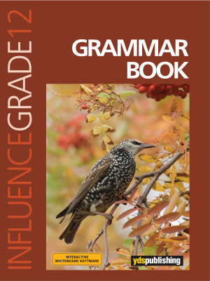 YDT Influence 12 Grammar Book
