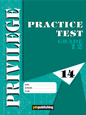 YDT Privilege 12 Practice Test - 14