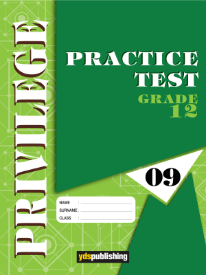 YDT Privilege 12 Practice Test - 09