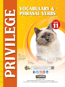 Privilege 11 Vocabulary and Phrasal Verbs
