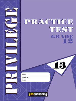 YDT Privilege 12 Practice Test - 13