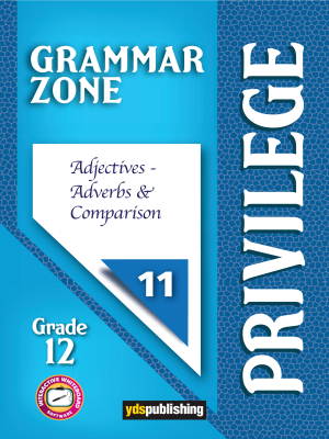 YDT Privilege 12 Grammar Zone 11
