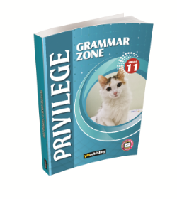 Privilege 11 Grammar Zone