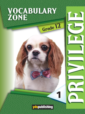 YDT Privilege 12 Vocabulary Zone 1