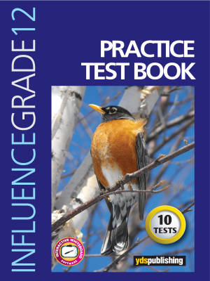 YDT Influence 12 Practice Test Book