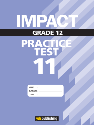 YDT Impact 12 Practice Test - 11