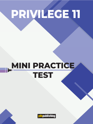YDT Privilege 11 Mini Practice Test